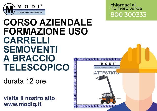Carrelli Elevatori Semoventi Braccio Telescopico 12h