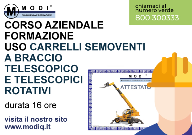 Carrelli Semoventi Telescopici e Rotativi 16h