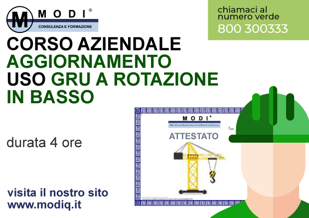 Gru a Rotazione in Basso Aggiornamento 4h