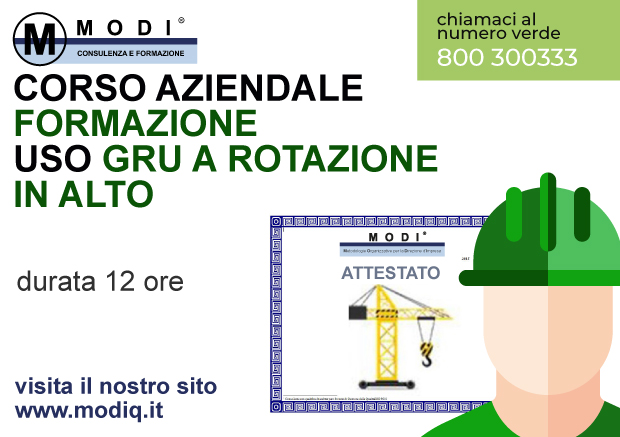 Gru a Rotazione in Alto 12h