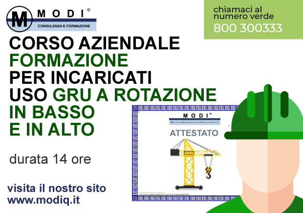 Gru a Rotazione in Basso e in Alto 14h