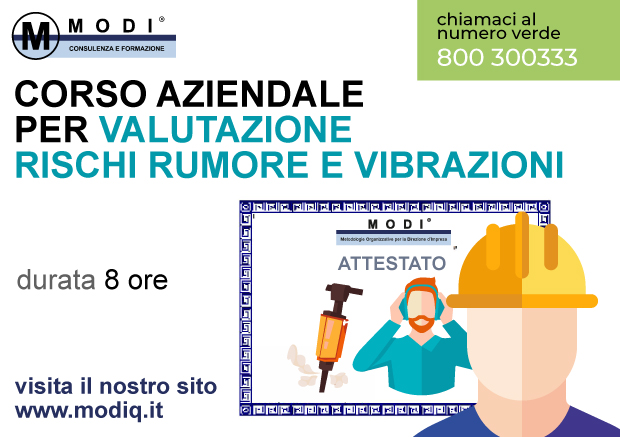 Rumore vibrazioni 8 ore