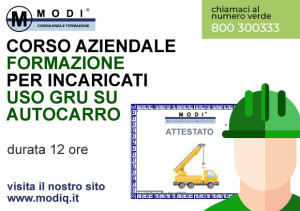 GRU-AUTO-CARRO-FORMAZIONE_Tavola-disegno-1-01-300x211 GRU-AUTO-CARRO-FORMAZIONE_Tavola-disegno-1-01-300x211