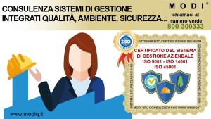 nuove-img-sistemi-integrati_16-300x169  