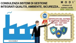 nuove-img-sistemi-integrati_5-300x169  