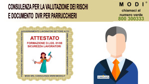 1-Consulenza-e-corsi-parrucchiere-Sicurezza-DVR-300x169  