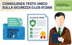 consulenza_testo_unico_81-e1789384694527  